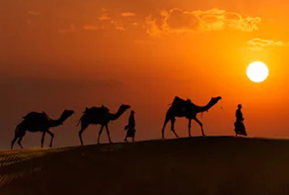 Sunset Camel Trek Experience The Culture & History